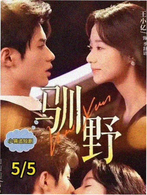 硬汉档案 剧集完整版海报